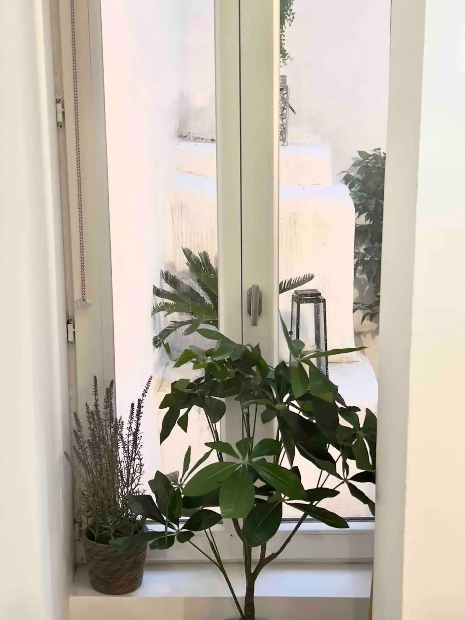 Le Petit Patio Διαμέρισμα Αιξ-αν-Προβάνς Εξωτερικό φωτογραφία